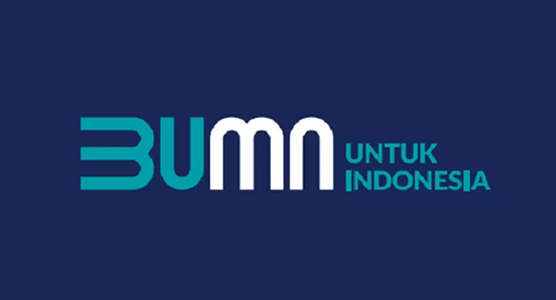 BUMN Award 2009